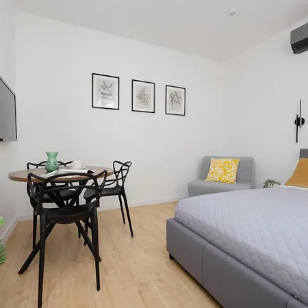 公寓 Klimatyzowane Typu Blisko Centrum I Starego Browaru By Renters 波兹南